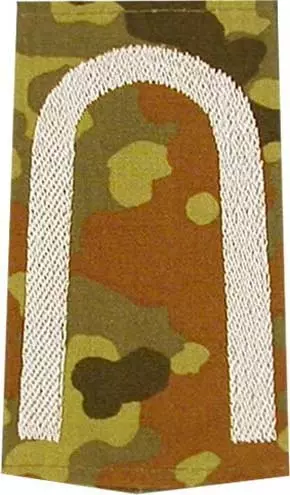 Rangschlaufen Unteroffizier flecktarn/weiß mit Klett