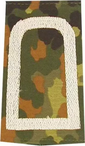 Rangschlaufen Stabsunteroffizier flecktarn/weiß