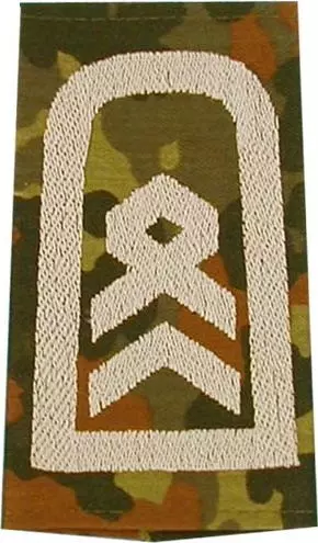 Rangschlaufen Stabsfeldwebel flecktarn/weiß