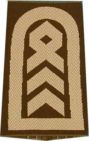 Rangschlaufen Oberstabsfeldwebel oliv/weiß