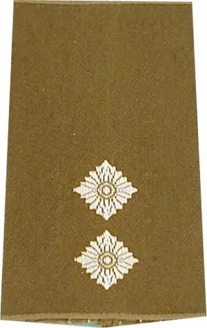 Rangschlaufen Oberleutnant oliv/weiß