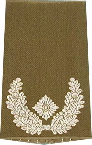 Rangschlaufen Major oliv/weiß mit Klett