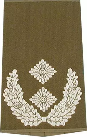 Rangschlaufen Oberstleutnant oliv/weiß