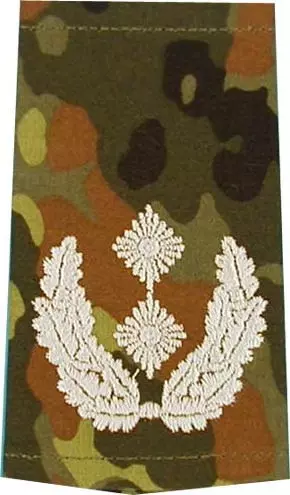 Rangschlaufen Oberstleutnant flecktarn/weiß