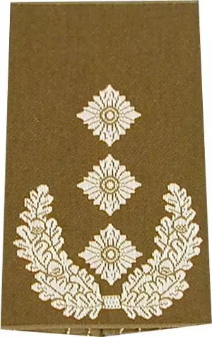 Rangschlaufen Oberst oliv/weiß mit Klett