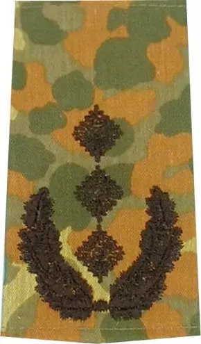 Rangschlaufen Oberst flecktarn/schwarz