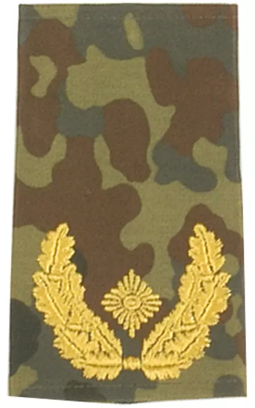 Rangschlaufen Brigadegeneral flecktarn/gold