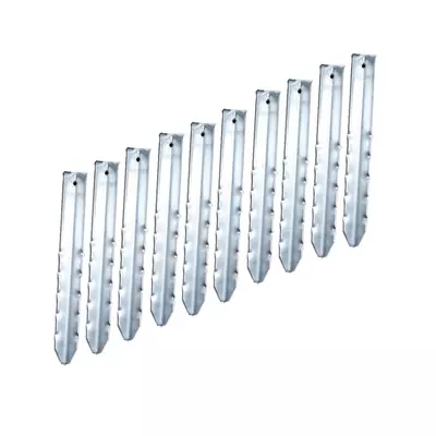 Mammuthering - 10er Pack