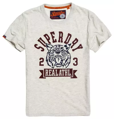SUPEDRY. ALL Heritage Classic T-Shirt, grau