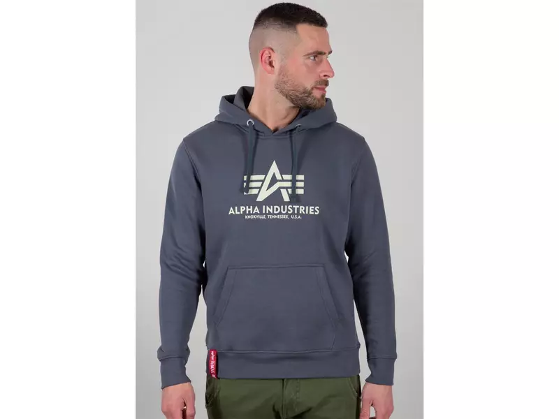 ALPHA INDUSTRIES Kapuzenpullover, Basic, dunkelgrau 2