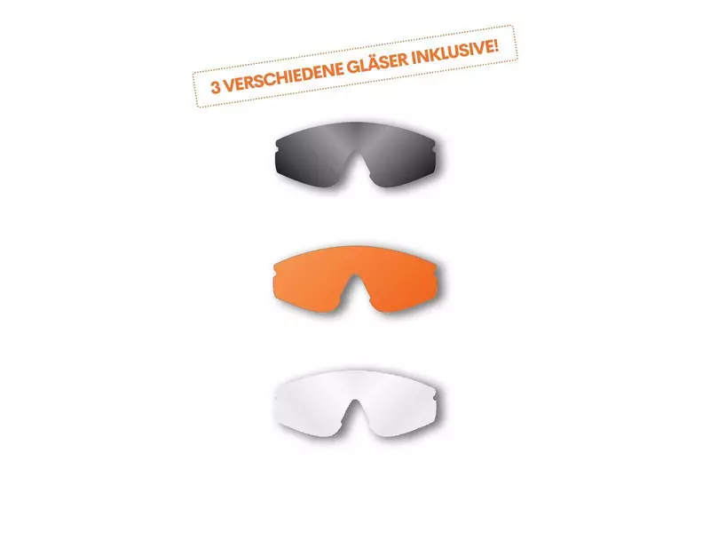 SwissEye Raptor Schutzbrille 3
