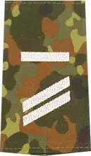 Rangabzeichen de Sargento UA flecktarn/blanco con velcro