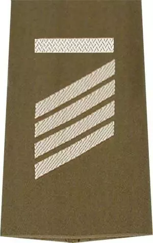 Rangschlingen Stabsgefreiter UA oliv/weiß mit Klett