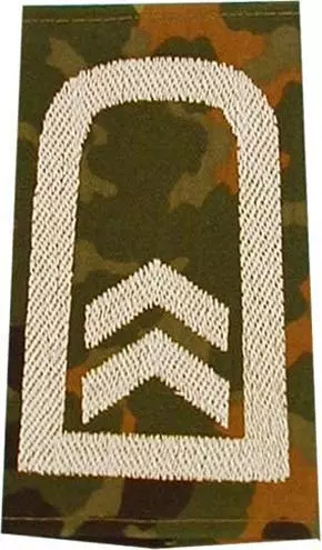 Rank insignia, Sergeant Major, flecktarn/white with velcro