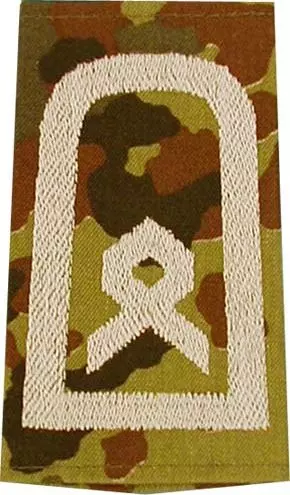Rank Insignia Sergeant Major Flecktarn/White with Velcro