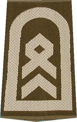 Rank Loops, Sergeant Major, olive/white with Velcro