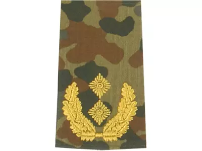 Rangschlaufen Generalmajor flecktarn/gold
